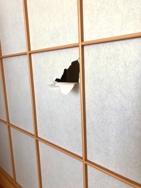 障子 破れ