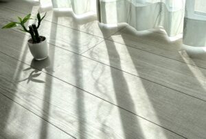 日当たりの良い窓辺と植物