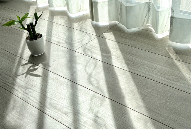 日当たりの良い窓辺と植物